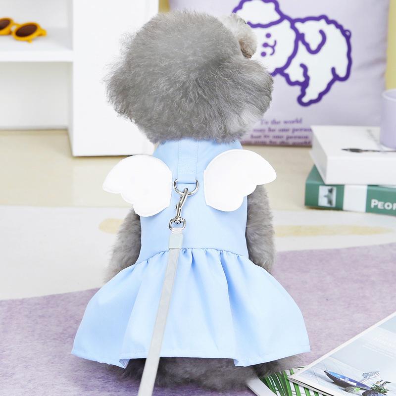 Engelsflügel Haustierrock Katze kleiner Hund Hundekleidung Frühling und Sommer dünn