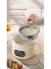 Multifunctional Electric Cooker: Dormitory Pot, Steamer, Boiler, Hot Pot, Student-friendly, Smart Rice Cooker.