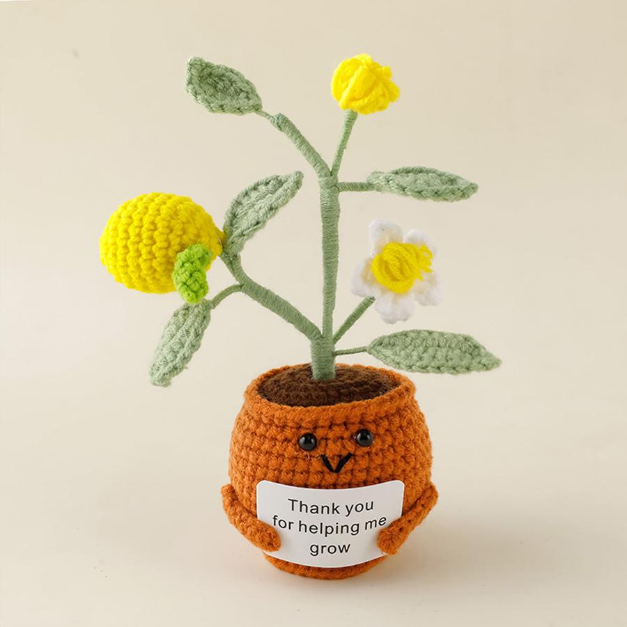 33 Styles Crochet potted tabletop Words of encouragement forget-me-not crochet orange convolia heart-warming ornament