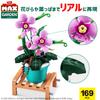 ZURU Max Premium Garden Pot Phalaenopsis Miniature Block Collection Capsule Authentic Plants 169-Piece Toy,