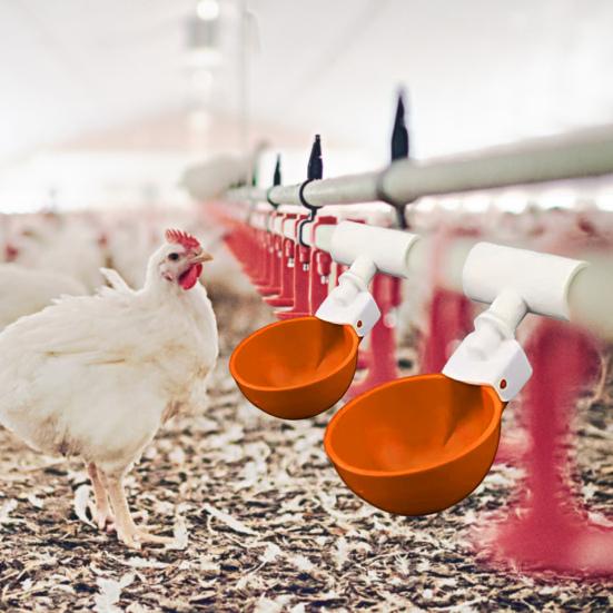 Efficient Quick Installation Feeding Spill-proof Poultry Chicken Water Cup Farm Supplies Chicken Drinker