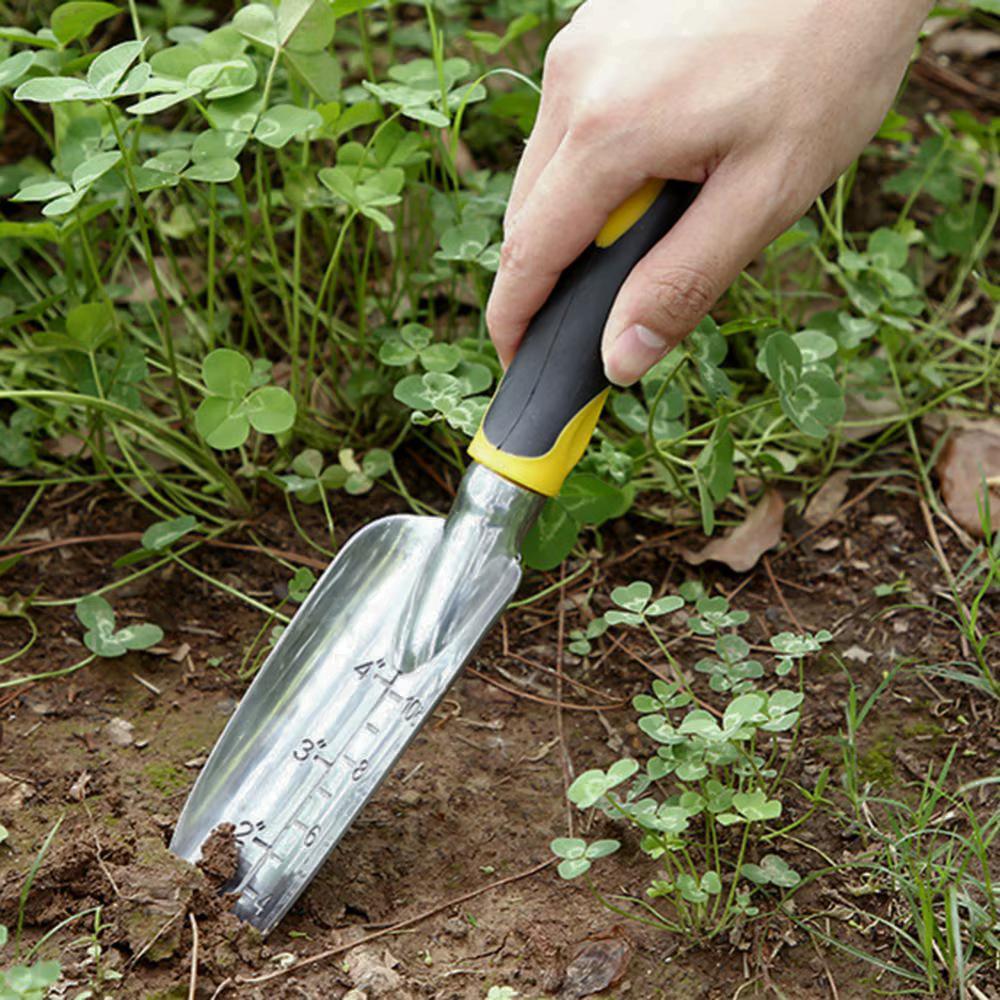 Set of garden tools: garden shovel, rake, claws, Father's Day, GoGarden