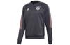 Adidas Sweatshirts Men's Gray Crew Neck Moderate Regular FR3989
