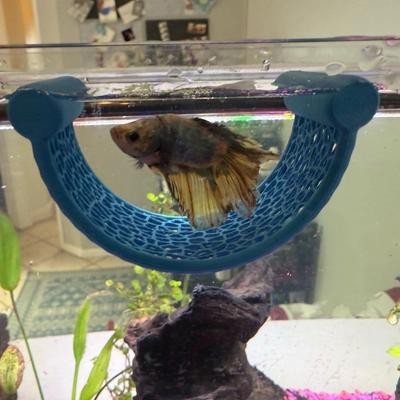 Peces y mascotas acuáticas – Mantenimiento de acuario