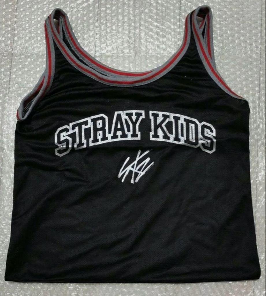 [USED] StrayKids AppGrade Bonus DominATE 2024.2025