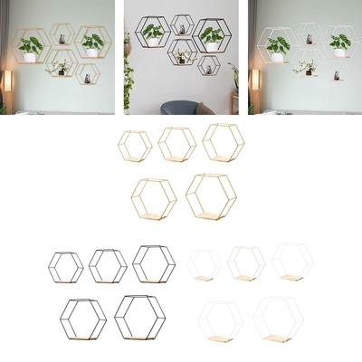 5Pcs Hexagon Iron Wall Shelves Storage Rack for Picture Mini Planter Display