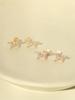 Minimalpiercing 14K Internal Asymmetrical Cubic Star Labret Piercing