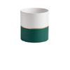 Gold-Rimmed Ceramic Flower Pot