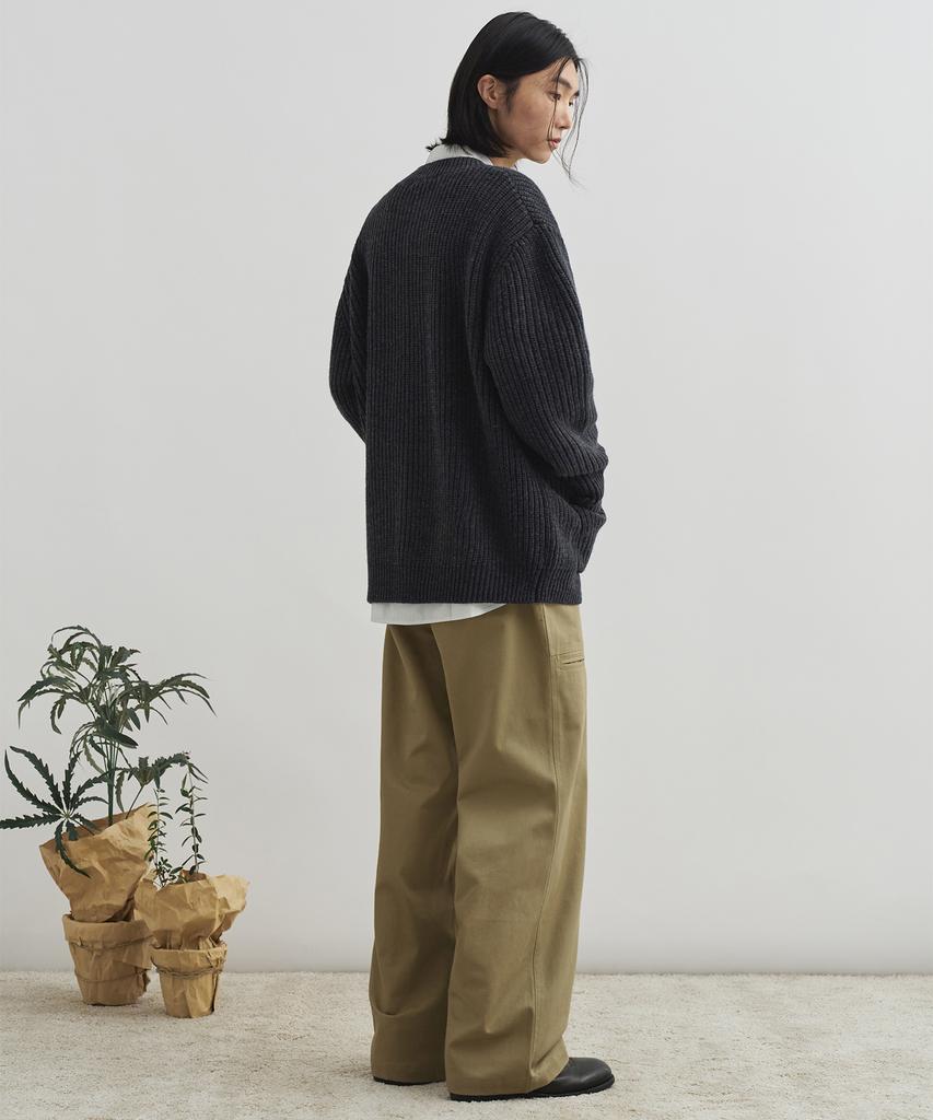 DRAW FIT Wide Fatigue Chino Pants [Beige]