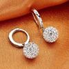 Earrings Water Diamond Round Ball Drops Embrace Earrings