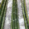 Natural Bamboo Poles for Wedding Props & Floral Decor - Moso Bamboo, 2m/3m/4m