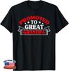 Promoted To Great Grandpa Baby Shower Gender Reveal Unisex T-Shirt