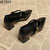 Designer Vintage Pointed Toe Women Mary Jane Shoes Fashion Shallow Buckle Shoes Ladies Elegant Dress Thick Heel Shoes