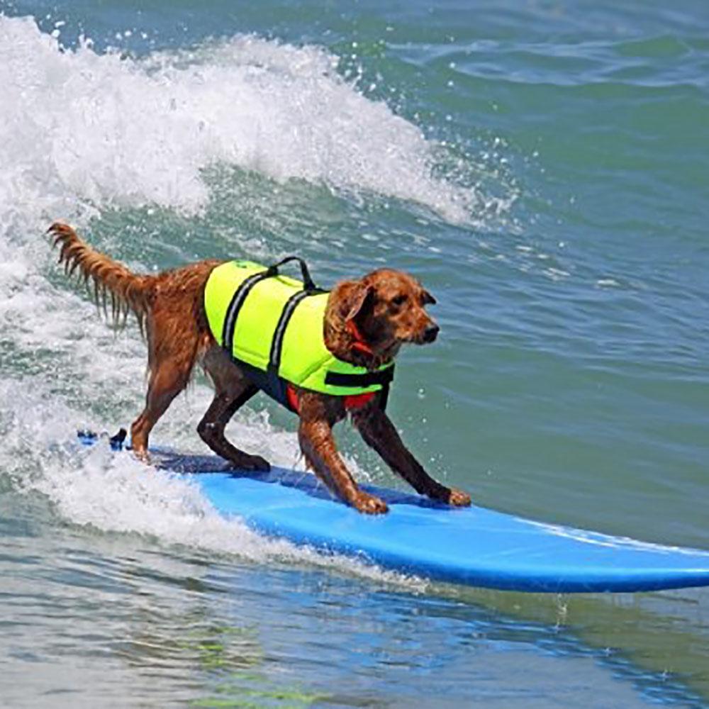 Adjustable Life Jacket Pet Dog Reflective Vest Preserver Puppy Swimming Safety