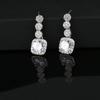 Elegant Long Tassel Zircon Stud Earrings - Women's Exquisite Circle Jewelry