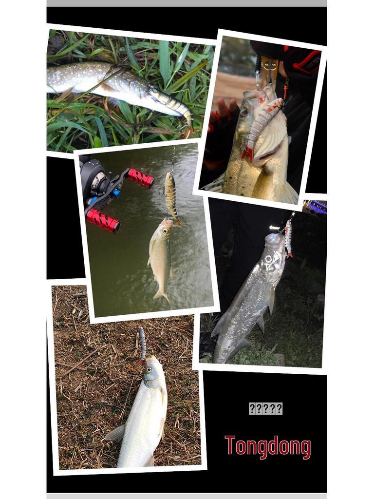 9-Section Bionic Loach Soft Bait Set: Long Cast, Slow Sinking, 10cm/10g, Realistic Fishing Lure