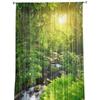 Forest Creek Flowing Water Nature Scenery Tulle Sheer Window Drapes for Living Room Bedroom Sheer Fabric Organza Drapes Drapes