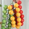 Lebensechte künstliche Tomatenkette Schaumstoff Fruchtrequisiten Restaurant-Auslage