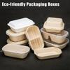 10/50 Pcs Oval Sugarcane Bagasse Boxes Eco-Friendly Biodegradable Food Containers W/Pet Lid