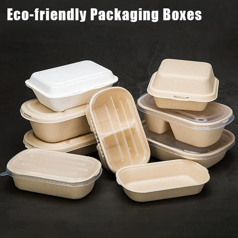 10/50 Stück Ovale Bagasse-Boxen aus Zuckerrohr Umweltfreundliche biologisch abbaubare Lebensmittelbehälter mit PET-Deckel