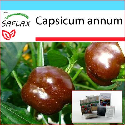 Geschenkset - Paprika - Sweet Chocolate x - 10 Samen - Mit Geschenkbox, Karte, Etikett und Pflanzsubstrat - Capsicum annum