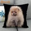 Nice Pomeranian Dog Pillowcase Bedroom Home Decorative Cover 45x45cm Square Zipper Pillow Cases Cotton Linen Fabric No Fade