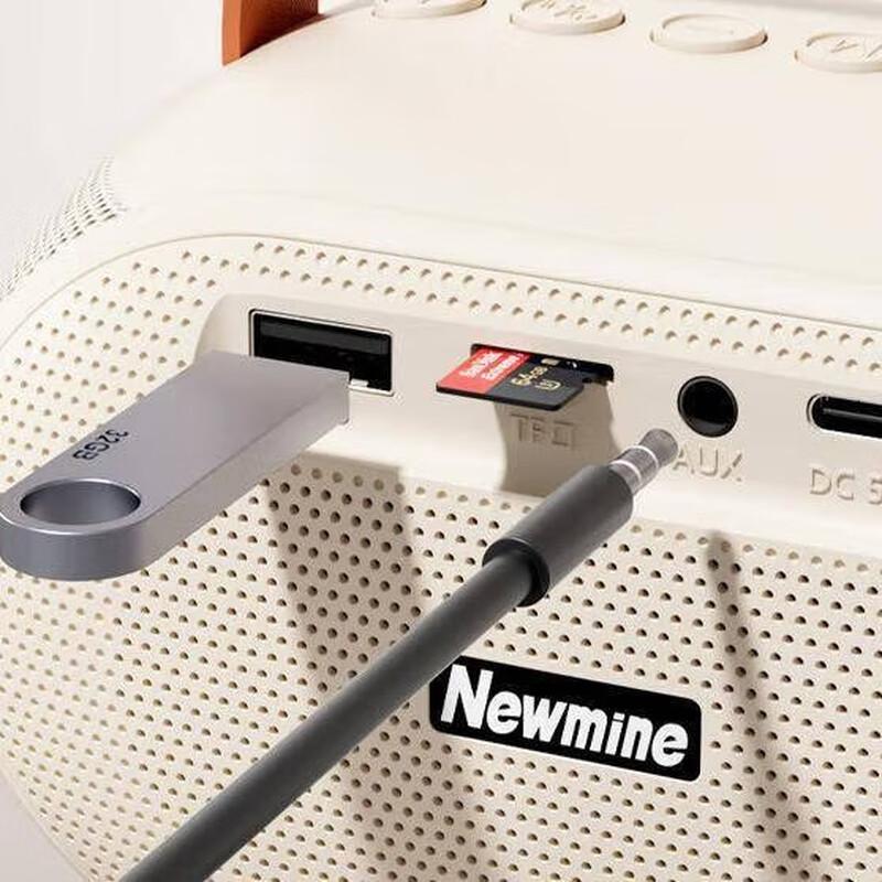 Newman KS11 KTV Bluetooth Speaker with Microphone