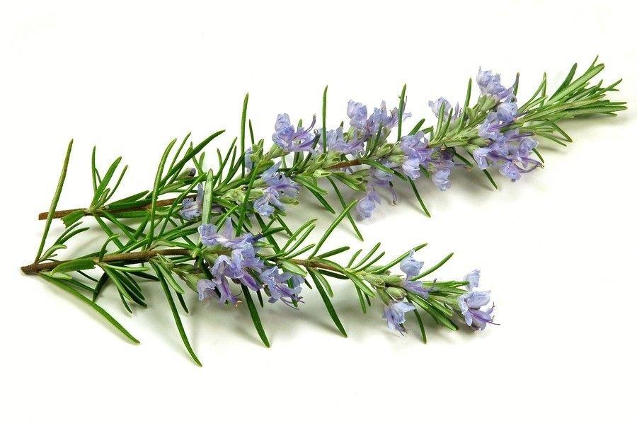 3x Rosemary Essential Oil Pink Soap Bar 115g