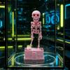 Realistic Dancing Skeleton Aquarium Bubbler 3D Printed with Pipe Suction Cup Wiggling Skeleton Statue Movable Wiggle Underwater