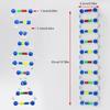 Hands on Double Helix DNA Models Set Organic Chemistry Atoms Models for Organic Chemistry Learning and Biology Teaching