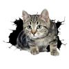 Car Sticker Cute 3D Cat Personality Block Body Scratch Auto Motorcycle Universal Decorative Stickers Car Accessories