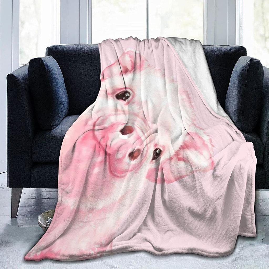 Flannel Fleece Modern Throw Blanket, Cartoon Style Koala Bears Blue Pattern Throw for Spring Recliner, Air Conditioning Blanket