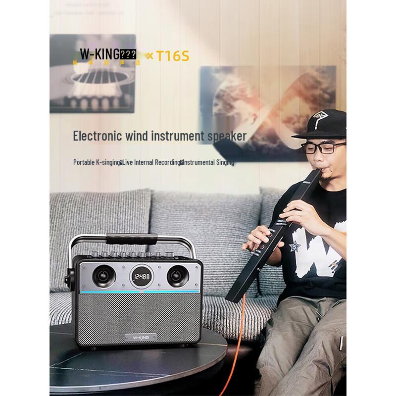 W-King T16S Portable K-Song Bluetooth Speaker