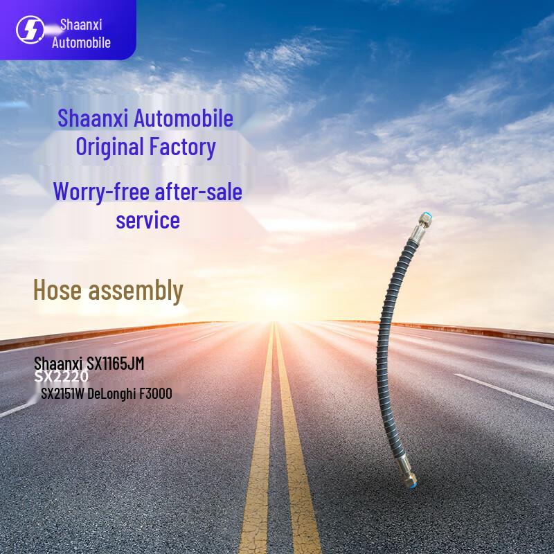 SHACMAN S Rear Brake Hose Assembly for Delong F3000