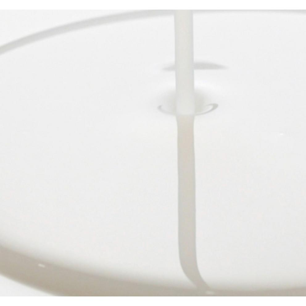 ROUND LAB Black Bean Panthenol Ampoule, 50ml, 1 Piece