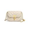 Women's Summer Crossbody Chain Bag: Small, Versatile, Light Luxury Shoulder Bag for Commuting