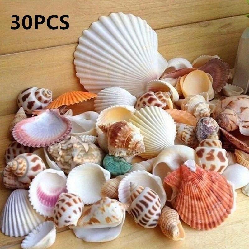 30 Stück/Beutel Mischung Aquarium Strand Nautisch DIY Muscheln Gemischt Lose Meeresmuschel
