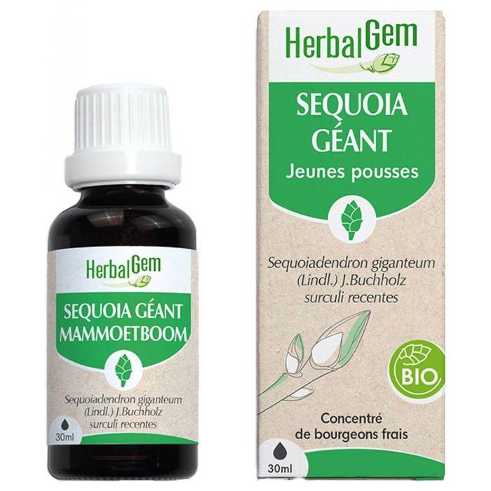 Herbalgem Macérat Concentré Séquoia Bio 30ml