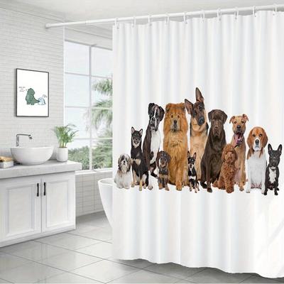Banyo ve tuvalet – Duş Perdeleri