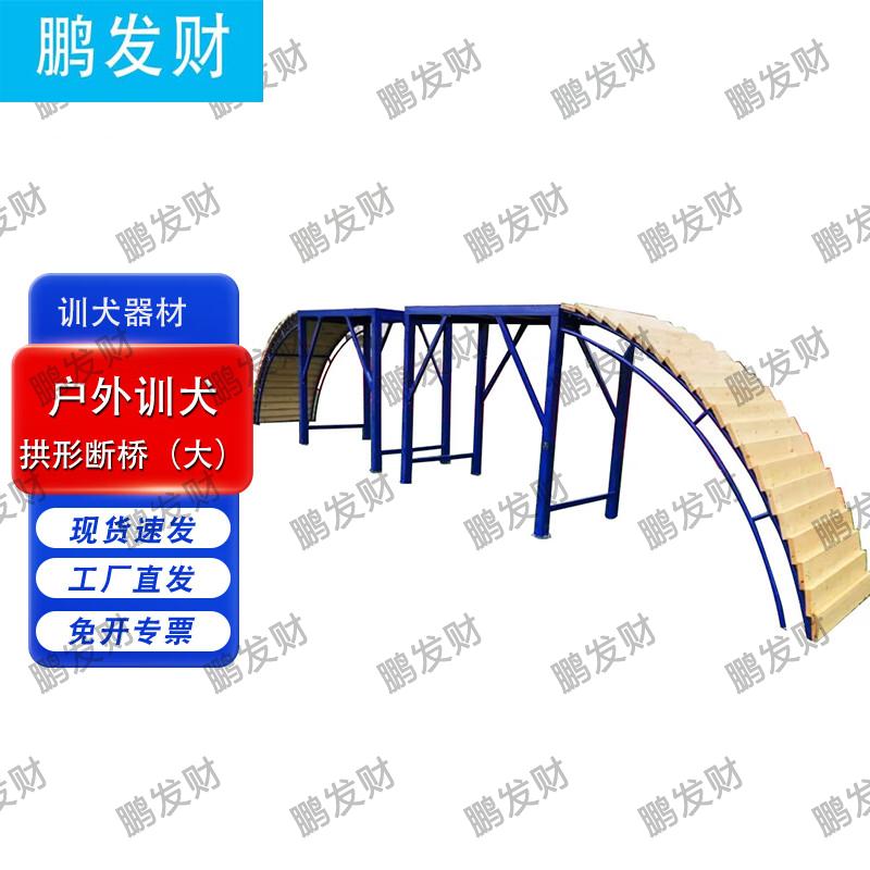 Professional Outdoor Dog Agility Training Equipment