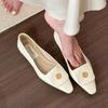 Fashion Spring Women's  Pumps Shoes Fashion Elegant Slip on Low Heels Ladies Elegant Pointed Toe Mary Jane Shoes