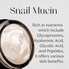 Mizon Black Snail All-in-One Creme 75ml