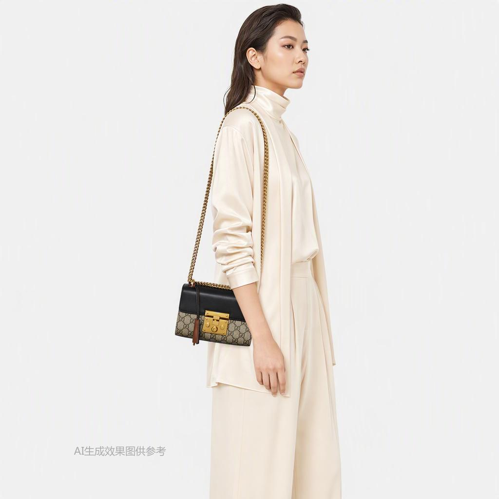 [Pre-Owned] Padlock Moonlight Treasure Box Series Metal Lock Logo Canvas And Leather Crossbody Bag Small - Very Good #1OOWI87