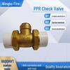 Brass Horizontal/Vertical PPR Check Valve Hot Melt Double Union Copper One-Way Backflow Prevention for Tap Water Pipeline
