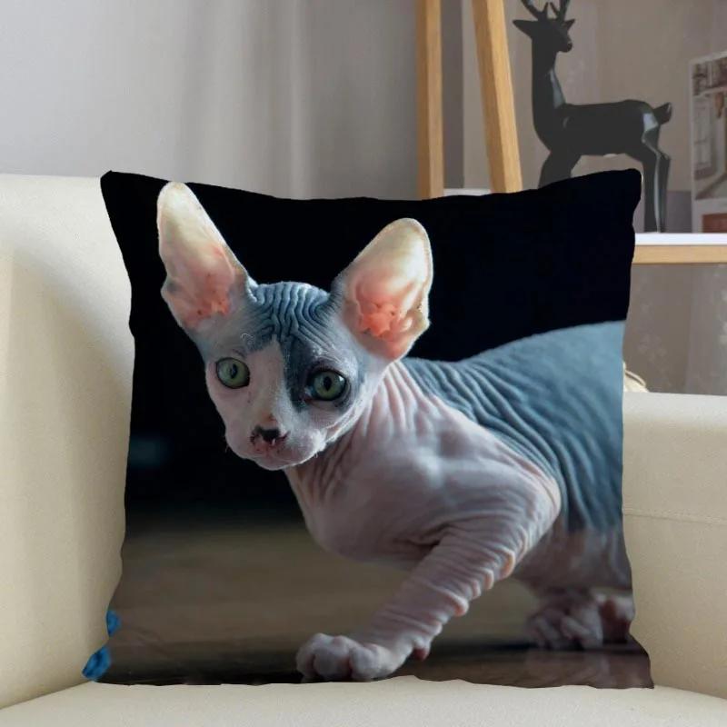 Musife Custom Sphynx Cat Pillowcase Home Decoration 45x45cm Zipper Square Pillowcase Throw Pillow Cover Drop Shipping 04.24