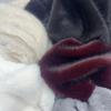 Luxurious Red Fox Faux Fur Fabric for Clothing, Collars, Dolls, and Carpets