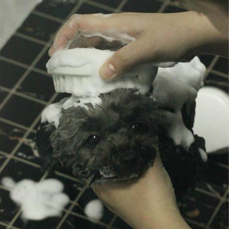 Luxury Eco-Friendly Plastic Dog Cat Pet Bath Massage Brush Grooming Comb for Fur Hair Removal