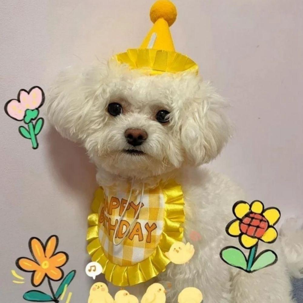 Soft Cat Birthday Scarf Hat Set with Digital Stickers Cat Saliva Towel Birthday Party