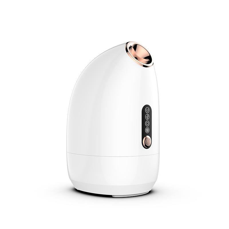 Cold and Hot Double Spray Face Vaporizer Nano Water Refill Sprayer Face Household Steam Engine Beauty Salons Special Face Vaporizer Beauty Equipment