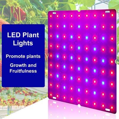 Quantum Panel Plant Light LED Red and Blue Spectrum Plant Grow Light Indoor Grow Lights